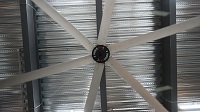 Bespoke 7.3m Giant Fans: Tailored Airflow Solutions for Monumental Spaces