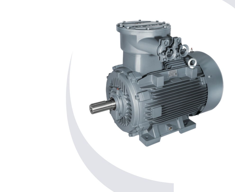 China Three-Phase Asynchronous Motor Manufacturer Delivers Reliable Industrial Power Solutions