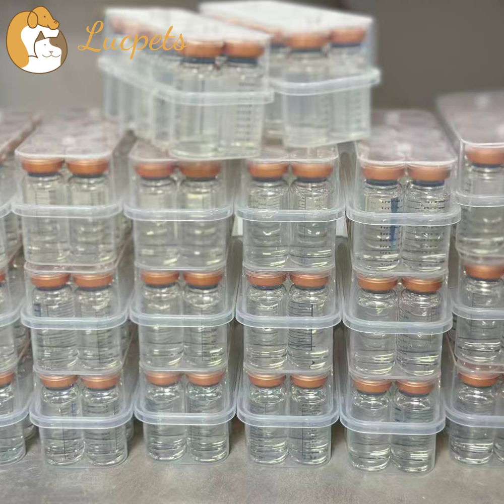 China FIP Injectable GS-441524: A Promising Treatment for Feline Infectious Peritonitis